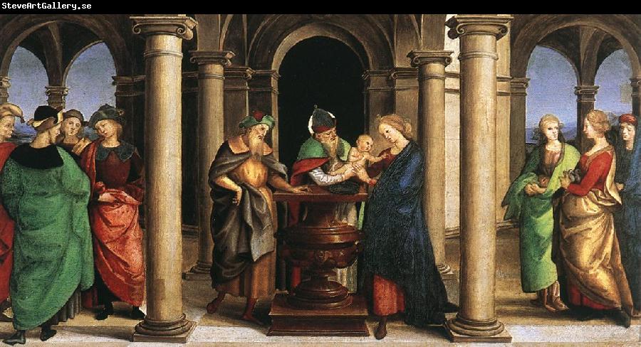 RAFFAELLO Sanzio The Presentation in the Temple (Oddi altar, predella)